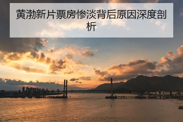黄渤新片票房惨淡背后原因深度剖析